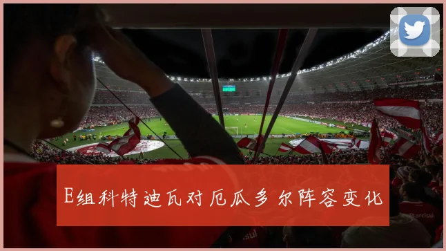 E组科特迪瓦对厄瓜多尔阵容变化