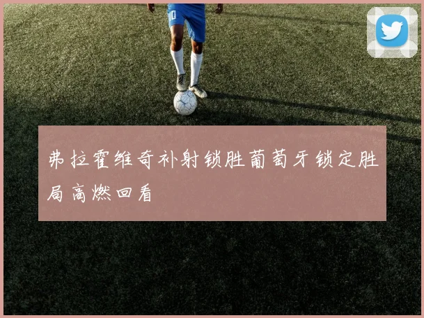 弗拉霍维奇补射锁胜葡萄牙锁定胜局高燃回看