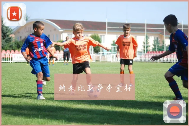 纳米比亚争夺金杯