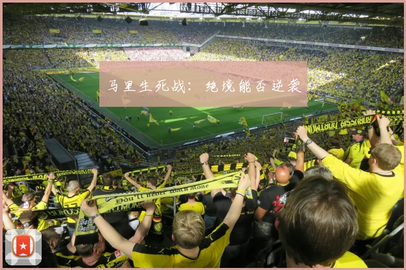 马里生死战：绝境能否逆袭