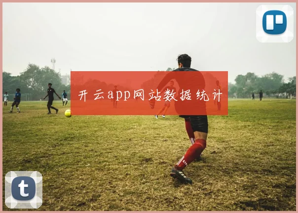 开云app网站数据统计