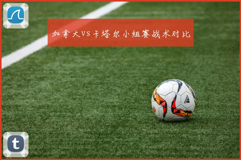 加拿大vs卡塔尔小组赛战术对比
