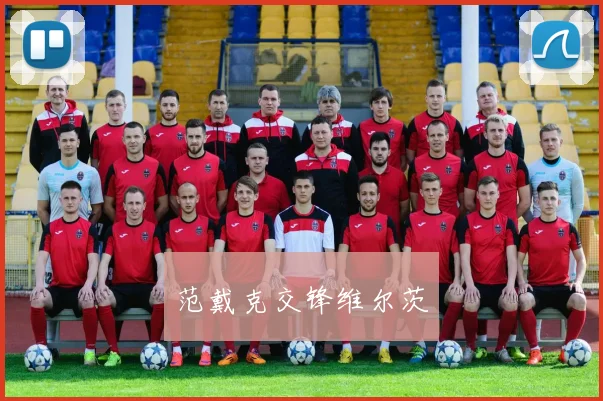 范戴克交锋维尔茨