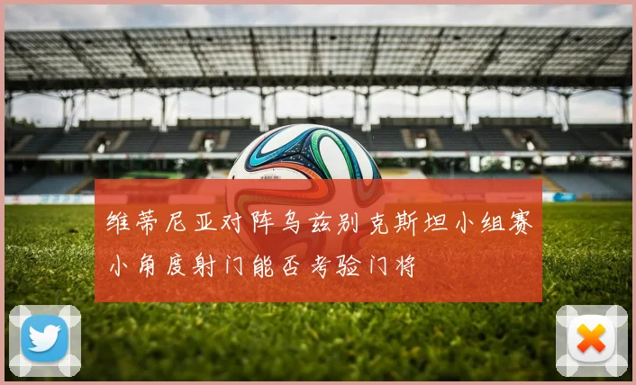 维蒂尼亚对阵乌兹别克斯坦小组赛小角度射门能否考验门将