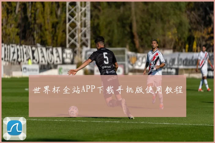 世界杯全站APP下载手机版使用教程